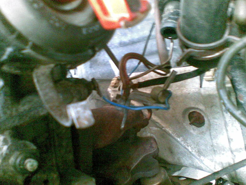 Scaled image 09082008(008).jpg 