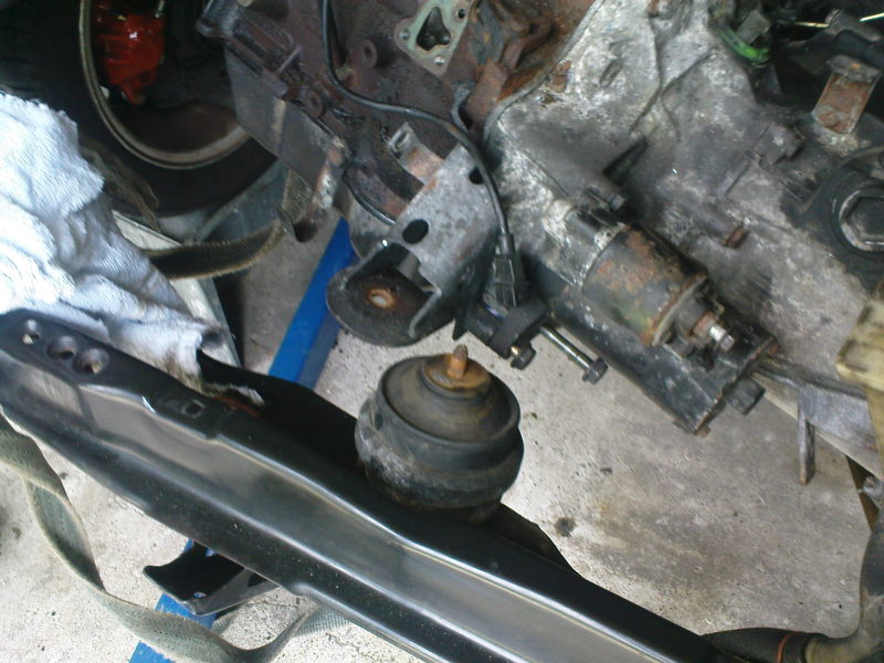 Scaled image DSC00211.JPG 