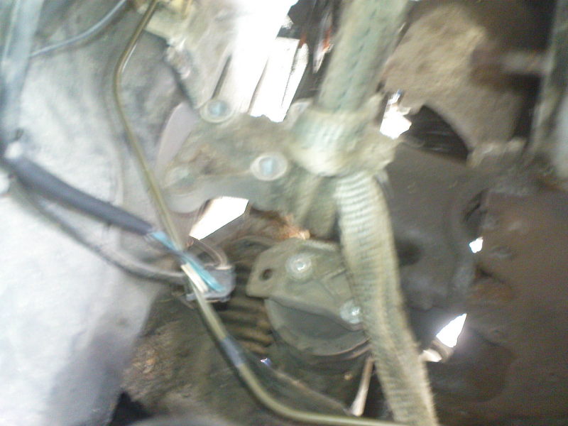 Scaled image DSC00212.JPG 