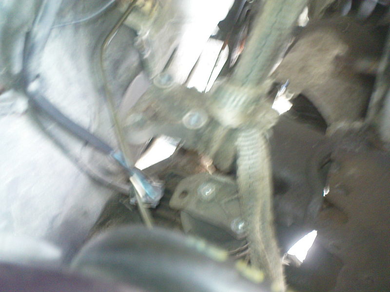 Scaled image DSC00213.JPG 