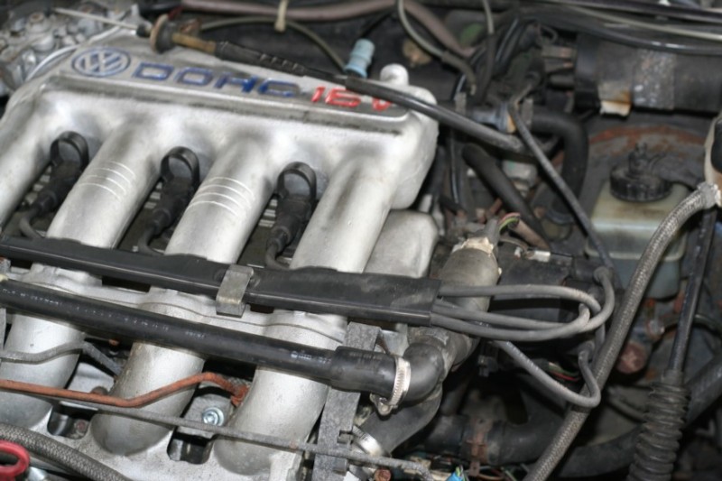 Scaled image IMG_4726.jpg 