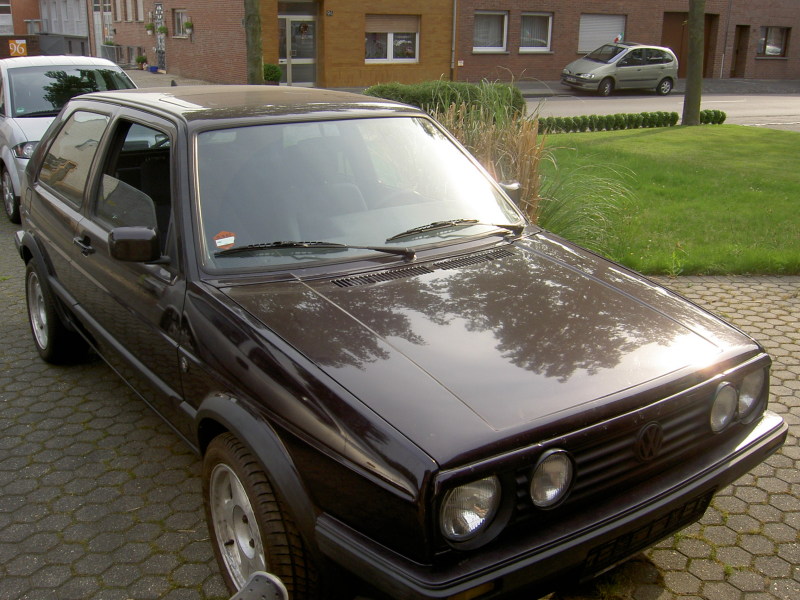 Scaled image PICT4326.JPG 