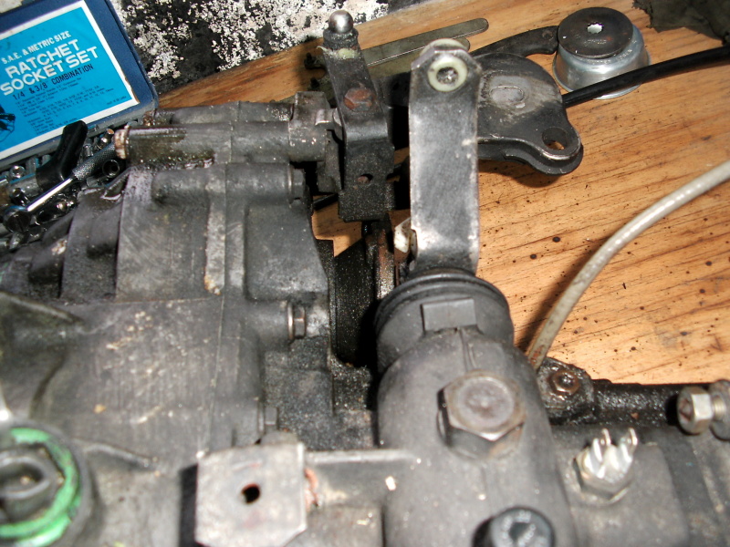 Scaled image dsci0153.jpg 