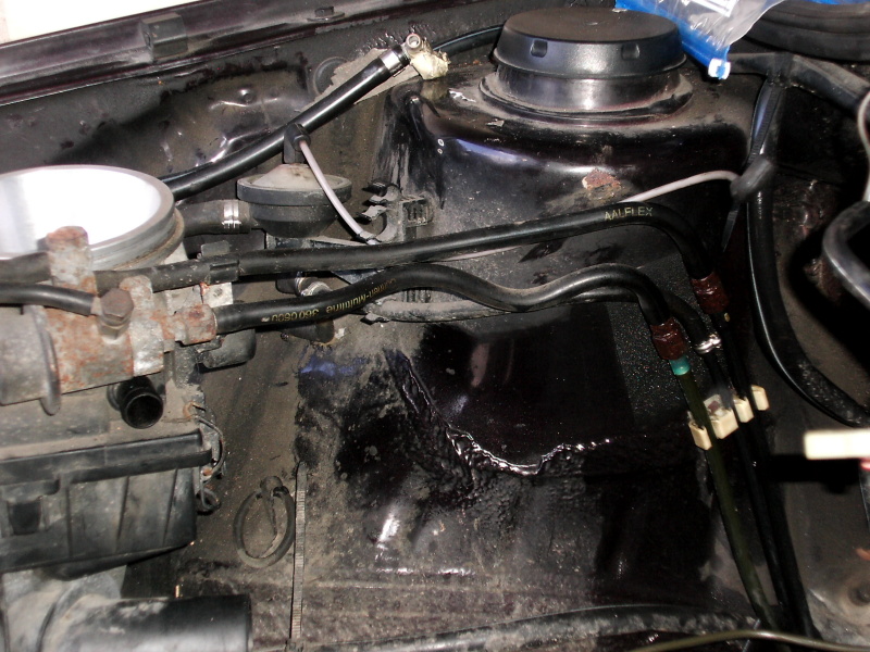 Scaled image dsci0157.jpg 