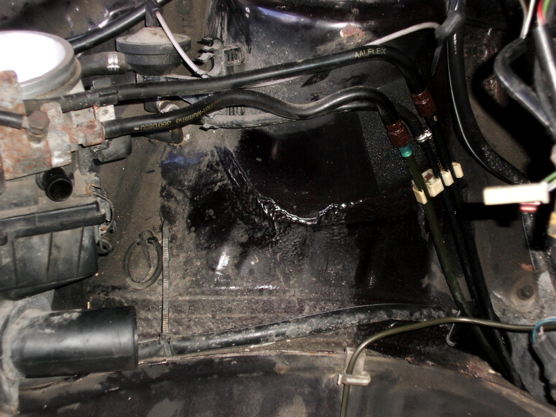 Scaled image dsci0158.jpg 