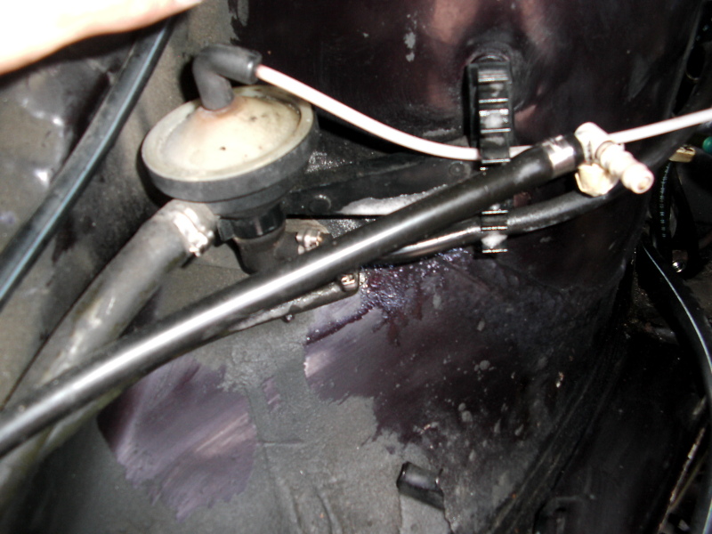 Scaled image dsci0161.jpg 