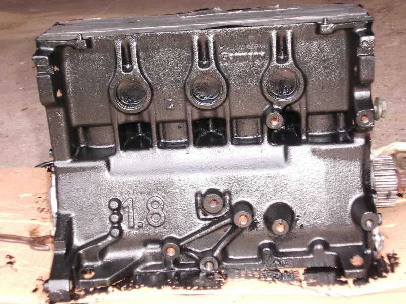 Scaled image dsci0189.jpg 