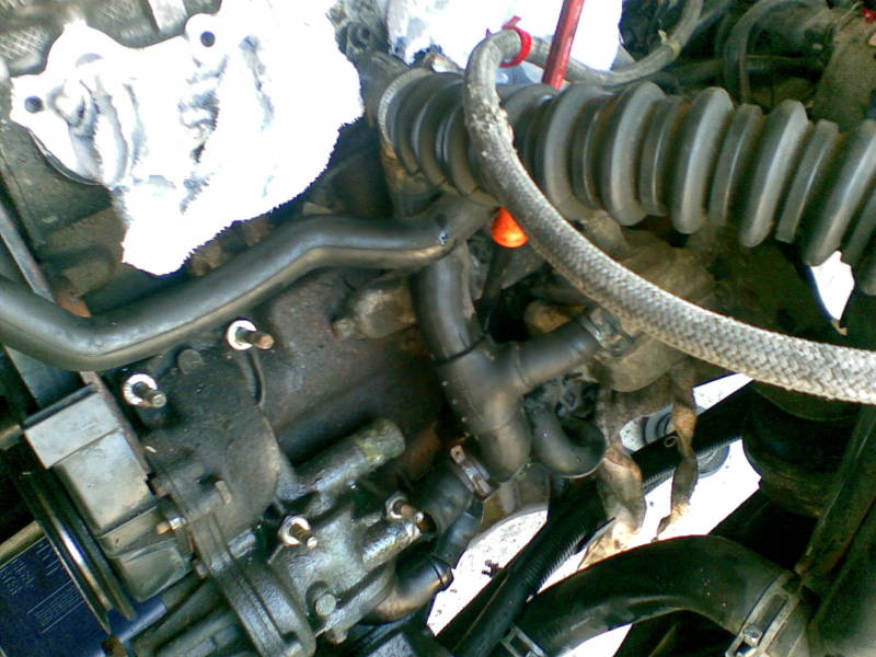 Scaled image kaki_1.jpg 