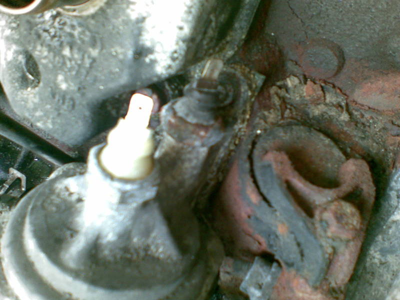 Scaled image 01082008(009).jpg 