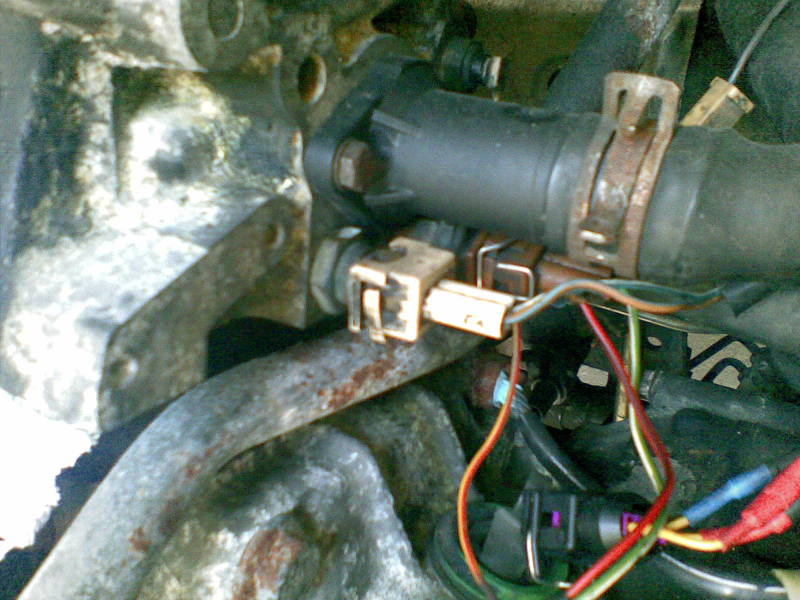 Scaled image 09082008(004).jpg 