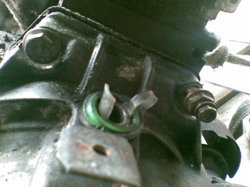 Scaled image 09082008(009).jpg 