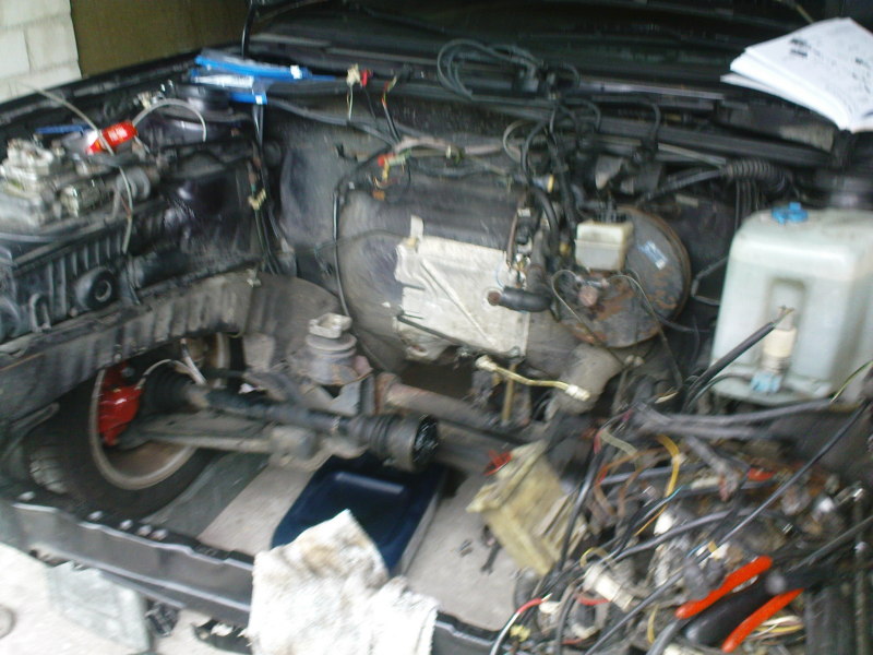 Scaled image DSC00218.JPG 