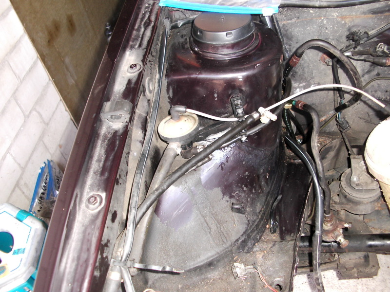 Scaled image dsci0160.jpg 