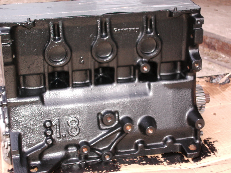 Scaled image dsci0192.jpg 