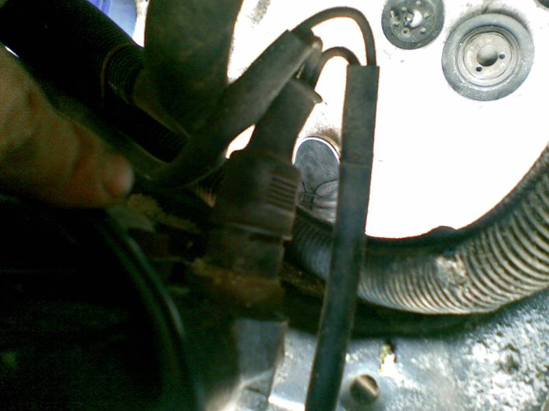 Scaled image kaki_3.jpg 