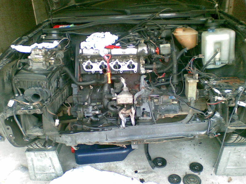 Scaled image kaki_5.jpg 