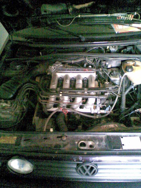 Scaled image motor.jpg 